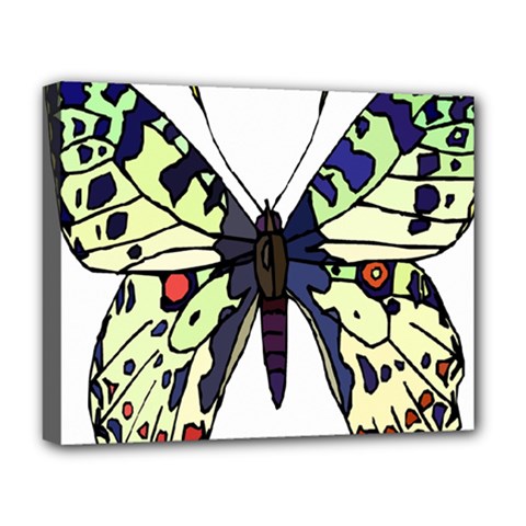 A Colorful Butterfly Image Deluxe Canvas 20  X 16   by Simbadda