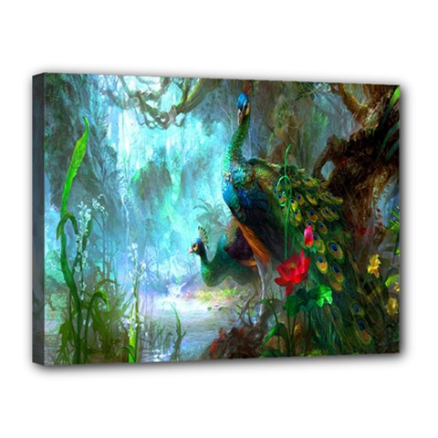 Beautiful Peacock Colorful Canvas 16  X 12  by Simbadda