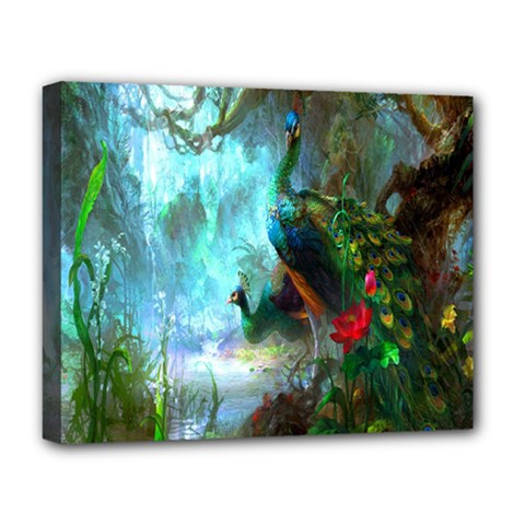 Beautiful Peacock Colorful Deluxe Canvas 20  X 16   by Simbadda