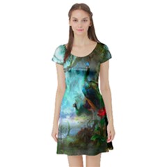 Beautiful Peacock Colorful Short Sleeve Skater Dress by Simbadda