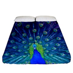 Amazing Peacock Fitted Sheet (king Size) by Simbadda