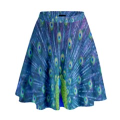 Amazing Peacock High Waist Skirt by Simbadda