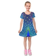 Amazing Peacock Kids  Short Sleeve Velvet Dress by Simbadda