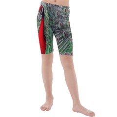 Red Peacock Kids  Mid Length Swim Shorts by Simbadda