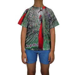 Red Peacock Kids  Short Sleeve Swimwear by Simbadda