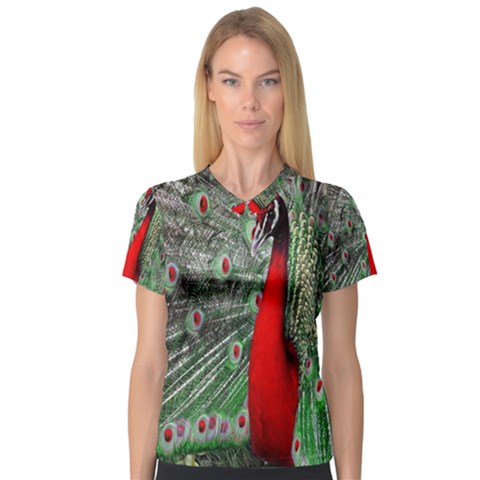 Red Peacock Women s V-neck Sport Mesh Tee by Simbadda