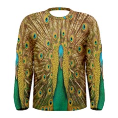 Peacock Bird Feathers Men s Long Sleeve Tee by Simbadda