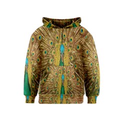 Peacock Bird Feathers Kids  Pullover Hoodie