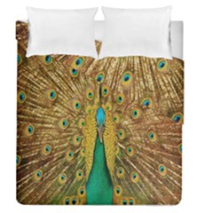 Peacock Bird Feathers Duvet Cover Double Side (queen Size) by Simbadda