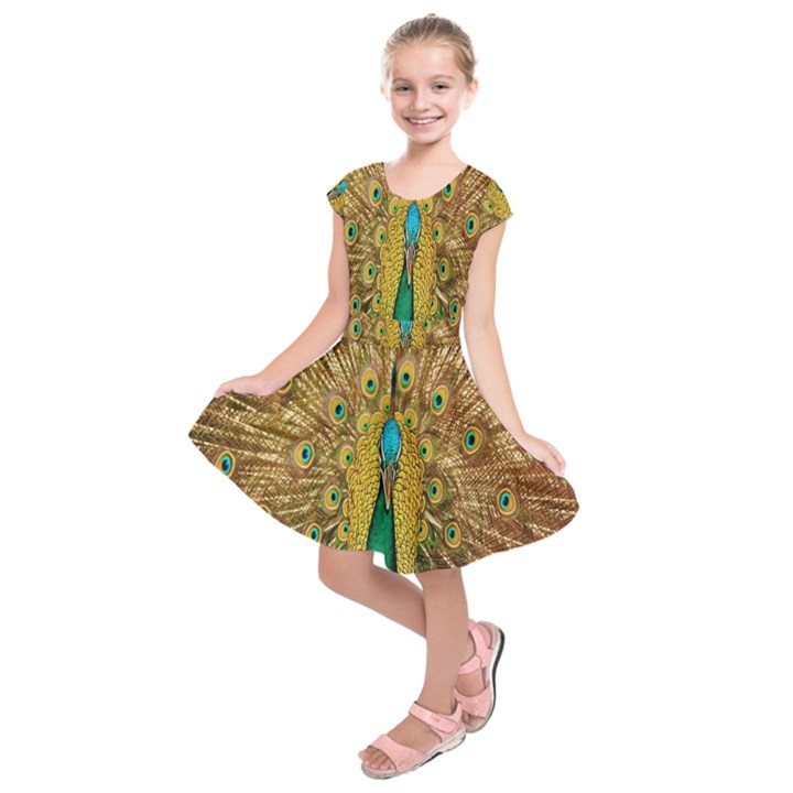 Peacock Bird Feathers Kids  Short Sleeve Dress