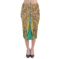 Peacock Bird Feathers Velvet Midi Pencil Skirt by Simbadda