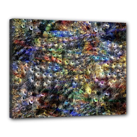 Multi Color Peacock Feathers Canvas 20  X 16  by Simbadda