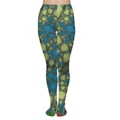 Holly Frame With Stone Fractal Background Women s Tights by Simbadda