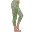 Camo Pack Initial Camouflage Capri Winter Leggings  View3