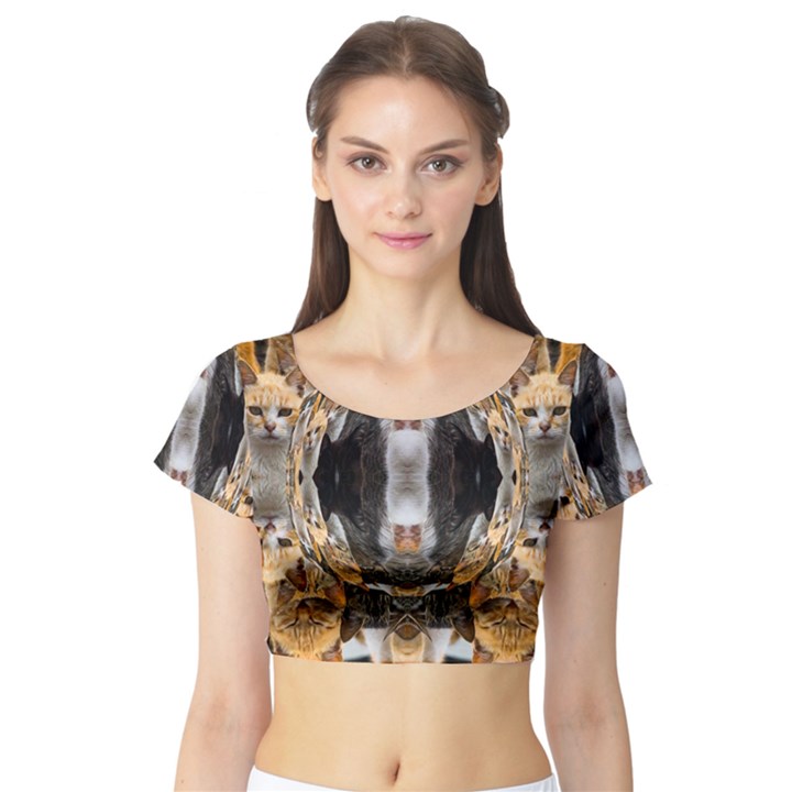 cat  Short Sleeve Crop Top (Tight Fit)