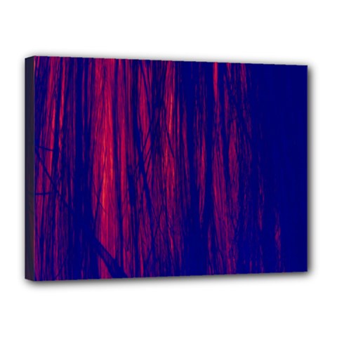 Abstract Color Red Blue Canvas 16  X 12  by Simbadda