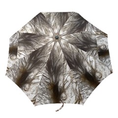 Tree Art Artistic Tree Abstract Background Folding Umbrellas by Nexatart