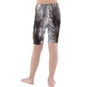 Tree Art Artistic Tree Abstract Background Kids  Mid Length Swim Shorts View2