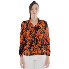 Abstract Orange Background Wind Breaker (Women)