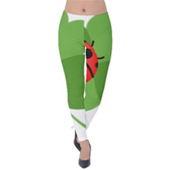 Insect Flower Floral Animals Green Red Velvet Leggings by Mariart