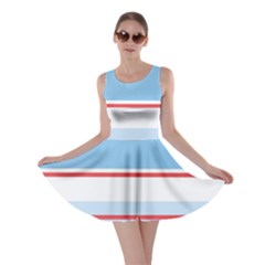 Navy Blue White Red Stripe Blue Finely Striped Line Skater Dress by Mariart