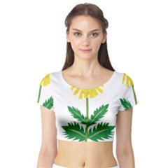 Sunflower Floral Flower Yellow Green Short Sleeve Crop Top (tight Fit) by Mariart