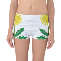 Sunflower Floral Flower Yellow Green Boyleg Bikini Bottoms