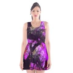 Pink Abstract Tree Scoop Neck Skater Dress by Nexatart