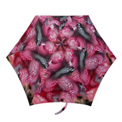 Raspberry Delight Mini Folding Umbrellas by Nexatart