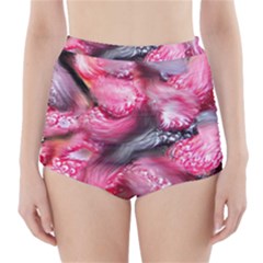 Raspberry Delight High-waisted Bikini Bottoms by Nexatart