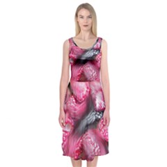 Raspberry Delight Midi Sleeveless Dress by Nexatart