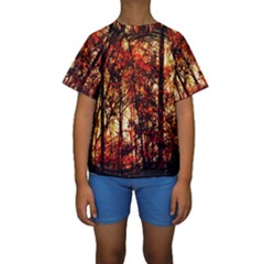 Forest Trees Abstract Kids  Short Sleeve Swimwear by Nexatart