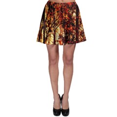 Forest Trees Abstract Skater Skirt by Nexatart