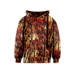 Forest Trees Abstract Kids  Pullover Hoodie by Nexatart