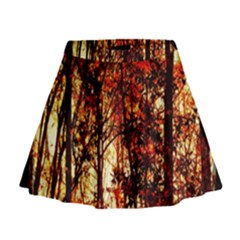 Forest Trees Abstract Mini Flare Skirt by Nexatart