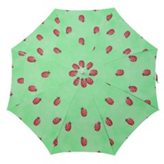 Pretty Background With A Ladybird Image Straight Umbrellas by Nexatart