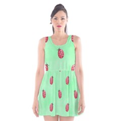 Pretty Background With A Ladybird Image Scoop Neck Skater Dress by Nexatart