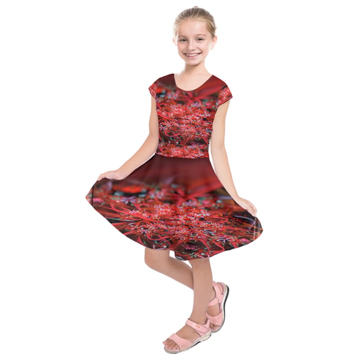 Red Fractal Valley In 3d Glass Frame Kids  Short Sleeve Dress