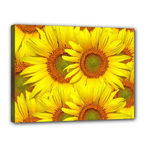 Sunflowers Background Wallpaper Pattern Canvas 16  X 12  by Nexatart