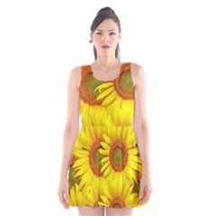 Sunflowers Background Wallpaper Pattern Scoop Neck Skater Dress by Nexatart