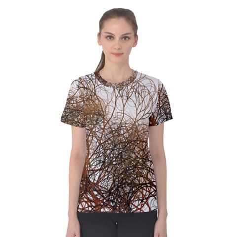 Digitally Painted Colourful Winter Branches Illustration Women s Cotton Tee by Nexatart