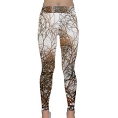 Digitally Painted Colourful Winter Branches Illustration Classic Yoga Leggings by Nexatart