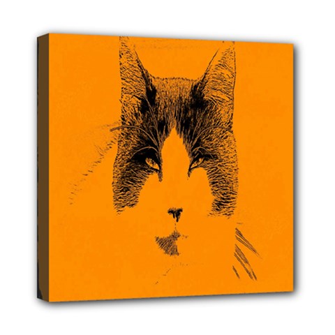 Cat Graphic Art Mini Canvas 8  X 8  by Nexatart