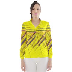 Fractal Color Parallel Lines On Gold Background Wind Breaker (women) by Nexatart