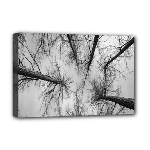 Trees Without Leaves Deluxe Canvas 18  X 12   by Nexatart