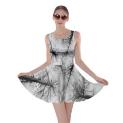 Trees Without Leaves Skater Dress by Nexatart