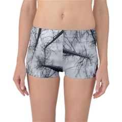 Trees Without Leaves Boyleg Bikini Bottoms by Nexatart