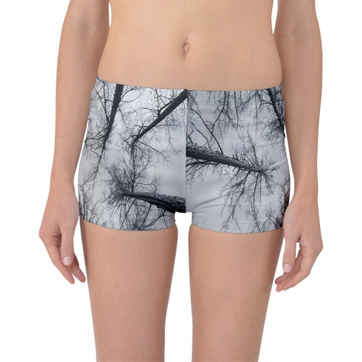 Trees Without Leaves Boyleg Bikini Bottoms