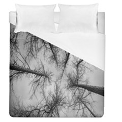 Trees Without Leaves Duvet Cover (queen Size) by Nexatart