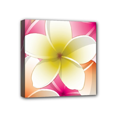 Frangipani Flower Floral White Pink Yellow Mini Canvas 4  X 4  by Mariart